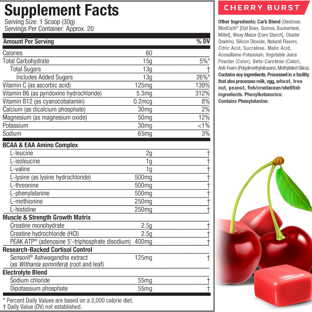 CellTech Elite 20 srv - Image 4