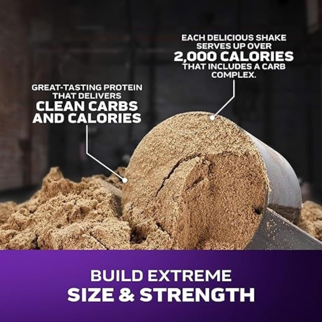 MassTech Extreme 22lbs Bucket - Image 3