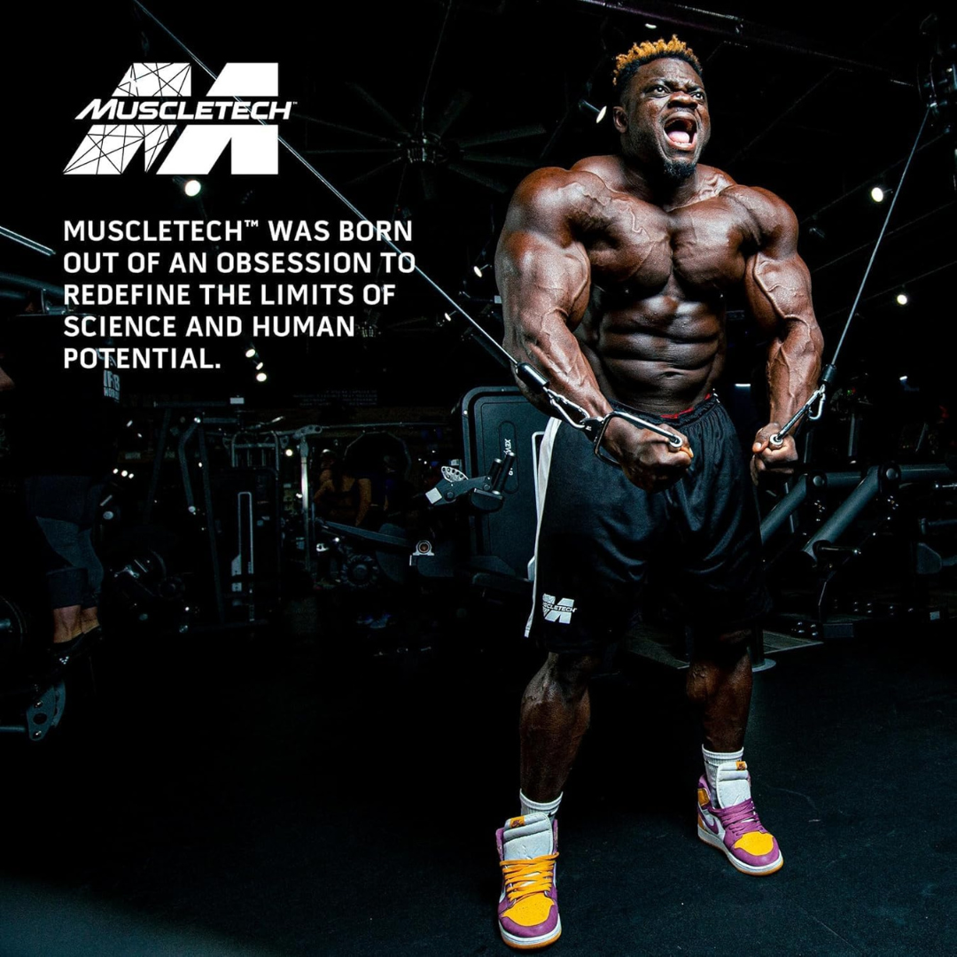 MassTech Extreme 12lbs Bag - Image 3