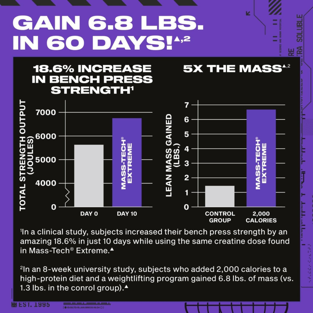 MassTech Extreme 22lbs Bucket - Image 2