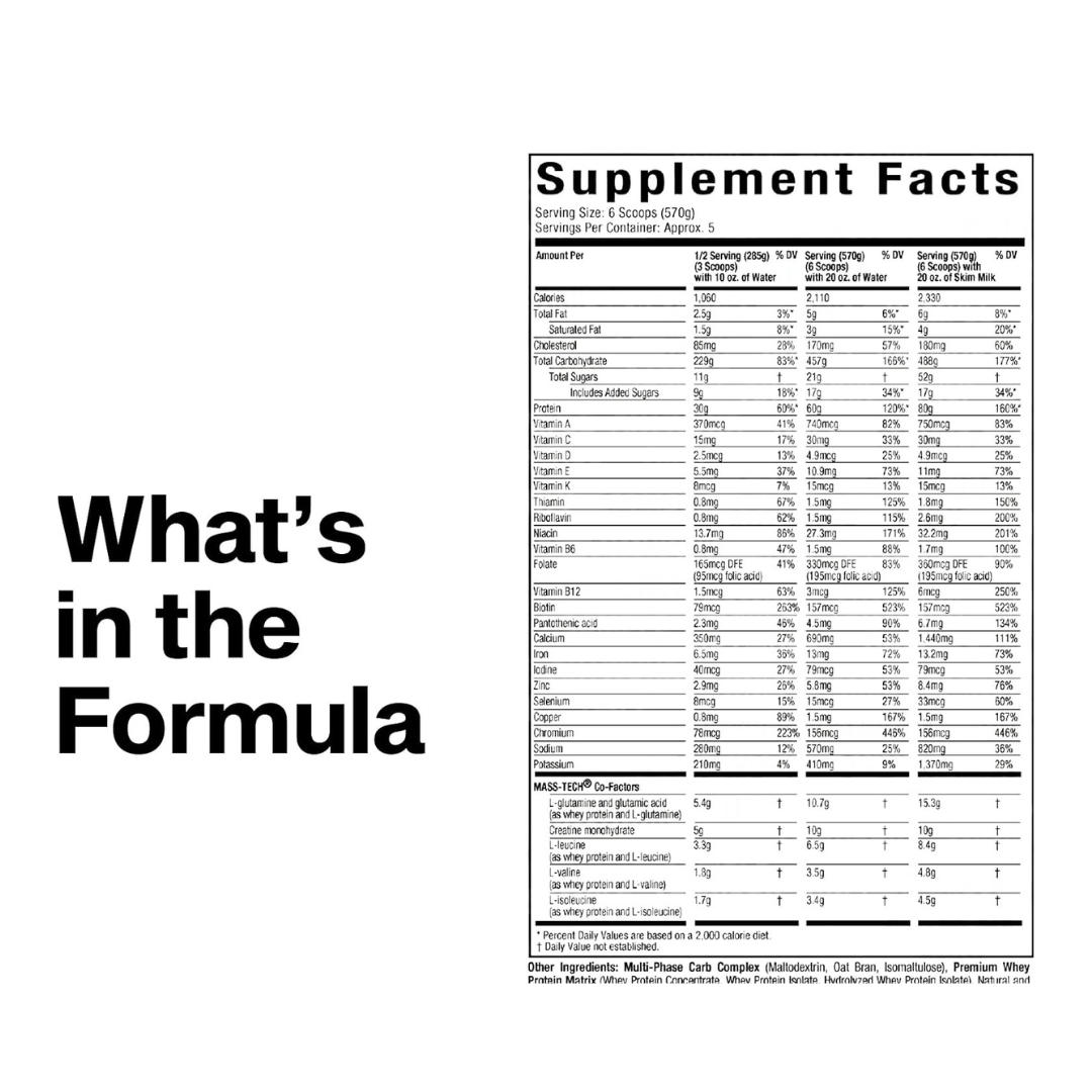 MassTech Extreme 22lbs Bucket - Image 4