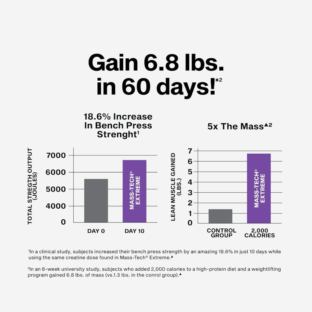 MassTech Extreme 6lbs - Image 2